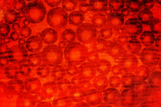 Create a grindhouse-inspired background with the Microscopic Fingerprint texture set - Four Create a grindhouse-inspired background with the Microscopic Fingerprint texture set - Four