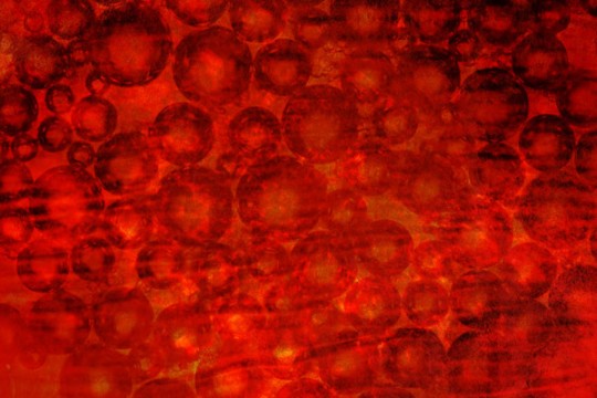 Create a grindhouse-inspired background with the Microscopic Fingerprint texture set - Five Create a grindhouse-inspired background with the Microscopic Fingerprint texture set - Five
