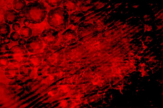 Create a grindhouse-inspired background with the Microscopic Fingerprint texture set - Six Create a grindhouse-inspired background with the Microscopic Fingerprint texture set - Six