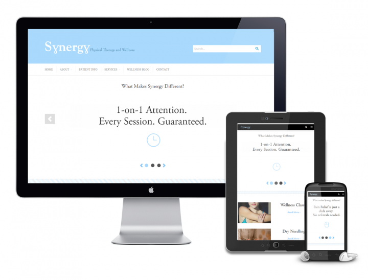 Synergy Physical Therapy Website Design by Go Media