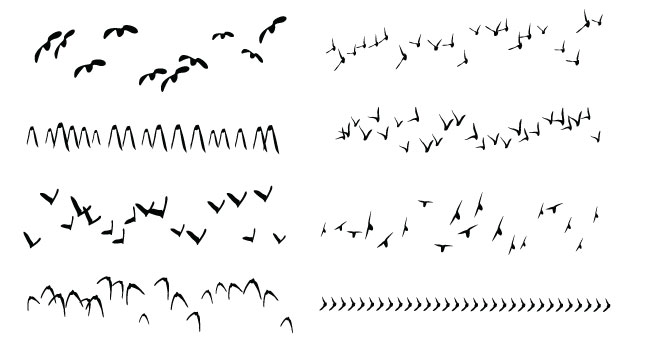 Birds Scatter Brush Freebie