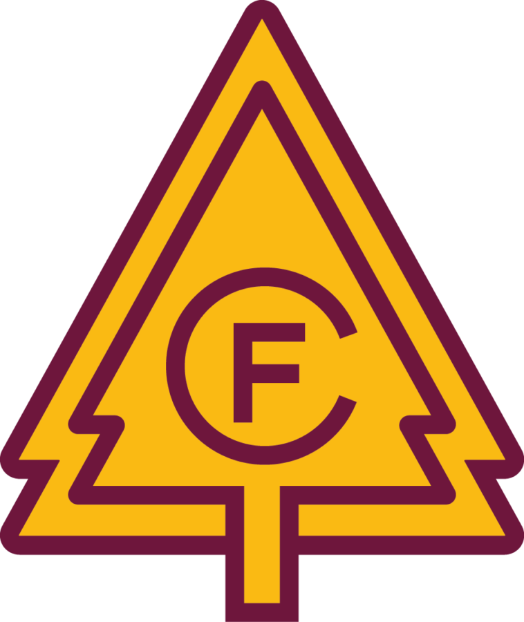 Forest City Shuffleboard Go Media™ · Creativity at work!